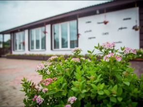 Меблированные комнаты Сойкино