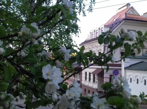 Гостиница У Домика Петра