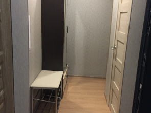 Апартаменты 1-комнатная квартира (недалеко от жд вокзала)