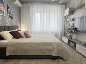 Svetlaya i Uyutnaya v Rajone TC Mega Flat