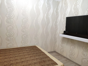 Частный дом на Дегтярева 43