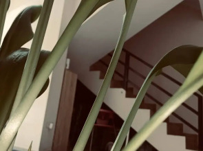 Апартаменты на Торфяной