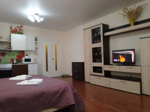 Апартаменты Брусничная Студия