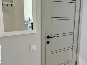 Квартира современная. Апартаменты Клен