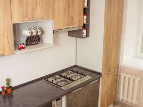 Квартира Ледовый дворец