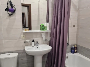 Апартаменты Flatirini в районе Чиба