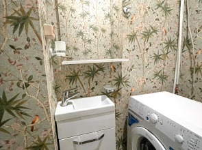 Апартаменты Четырехкомнатные на Невском