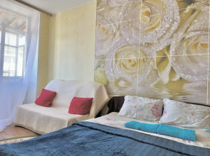 Апартаменты классика в самом центре у крепостной стены