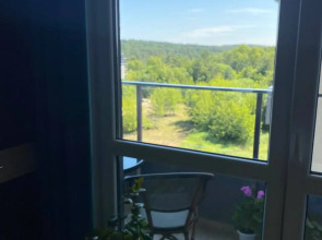 Квартира в Курортном Светлогорске-2