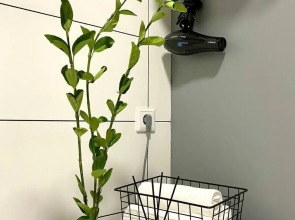 Квартира Девушка и Журавль от Vgosti61