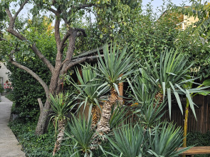 Гостевой Дом Янаки