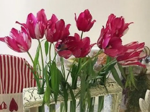 Апартаменты Вдохновение