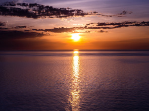 Отель Alliance Palace Batumi