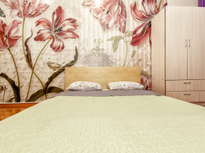 Апартаменты 29. Самый центр. Идеально для командированных и туристов.