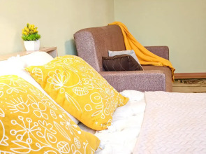 Квартира 2к квартира на Семьи Шамшиных 18