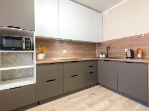 1-к в Центре в современном доме от RentAp 5 сп мест