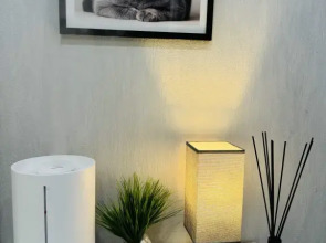 Апартаменты с видом на Москву 8