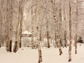 Коттеджный Комплекс Озерный Берег