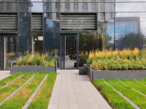 Апартаменты с видом на Останкинскую башню