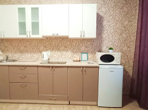 Апартаменты Гоголя 26_2