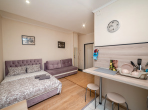 Апартаменты На Маяковской (907)