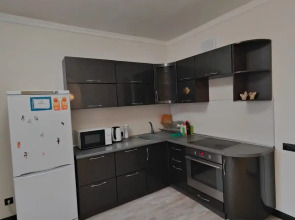 Апартаменты SiberiaLife на Фрунзе 230