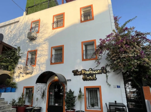 The Professor's Hotel