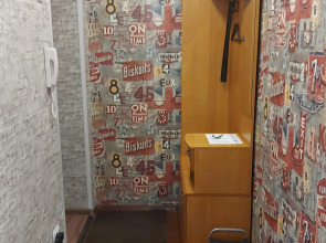 Апартаменты Уютная квартира у метро Заречная