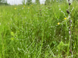 База отдыха Экопарк Бобровый Мыс