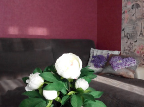 Апартаменты Турбаза 1