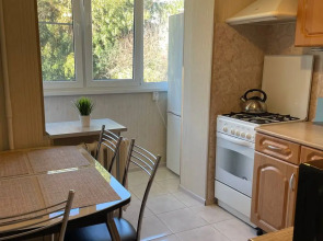 Уютные апартаменты на Комсомольской