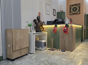 Отель Grand Rafinn