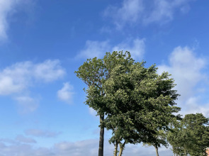 Квартира на улице Первомайская  19