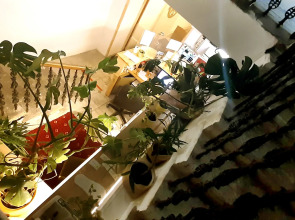 Отель Сварог-Арт