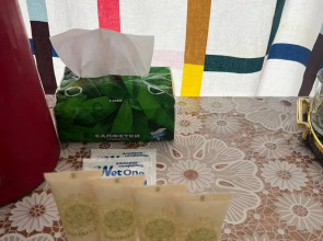 Гостевой дом Берёза