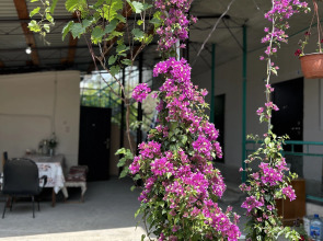 Гостевой дом Шапсугская 6А