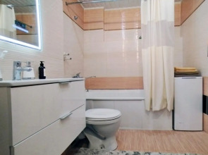 Квартира около острова Отдыха в Красноярске