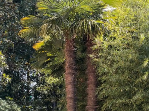 Санаторий Беларусь