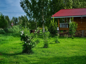 Гостевой дом Дикий Гусь