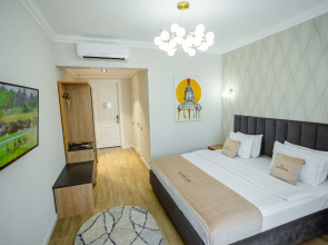 Отель Wellfort