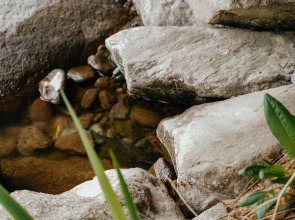 База отдыха Рыбачий стан