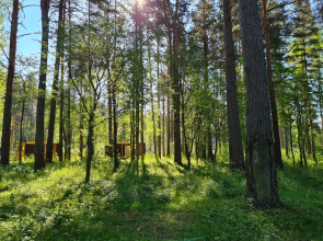 Kottila Village