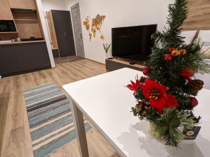 Апартаменты Карла Маркса 304Б