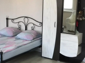 V Tsentre Goroda Flat