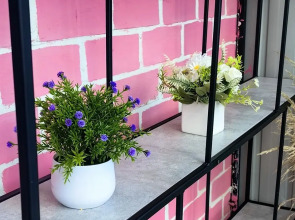 Квартира уютная в центре города