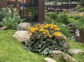 Апартаменты "Ваш Образ жизни" в Охта Парке