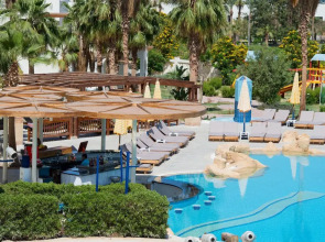 Amphoras Aqua Adults Friendly