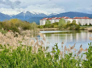 Квартира Сапфир с бассейном и видом на лес