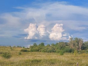 Шале Усадьба Южный Берег Дом для Семейного Отдыха