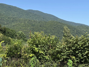 Апарт-отель Шале Тасианна